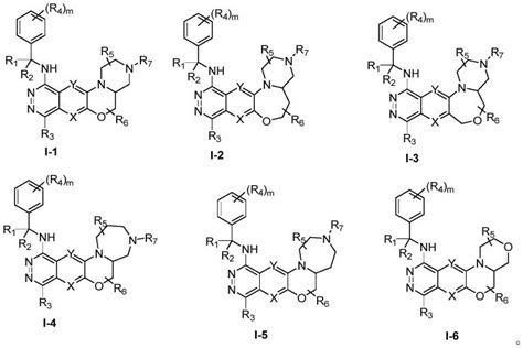 氮杂四并环化合物及其药物组合物和应用的制作方法