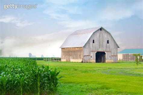 Old Weathered Barn With Corn Field Tipton County Indiana