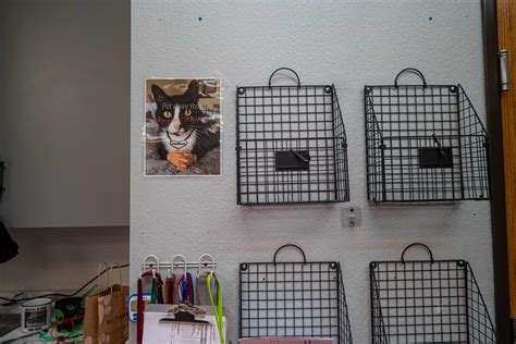 New boarding facilities will open at South Park Animal Hospital 8