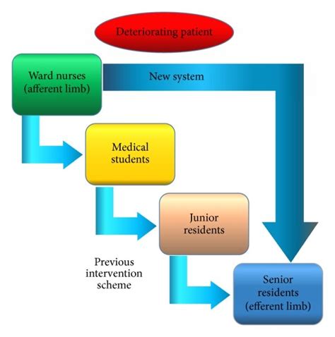 Afferent And Efferent Limb Definition Download Scientific Diagram