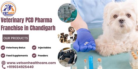 Empowering Veterinary Care Vetsonhealthcare Introduces Pcd Pharma