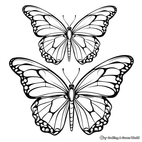 monarch butterfly coloring page