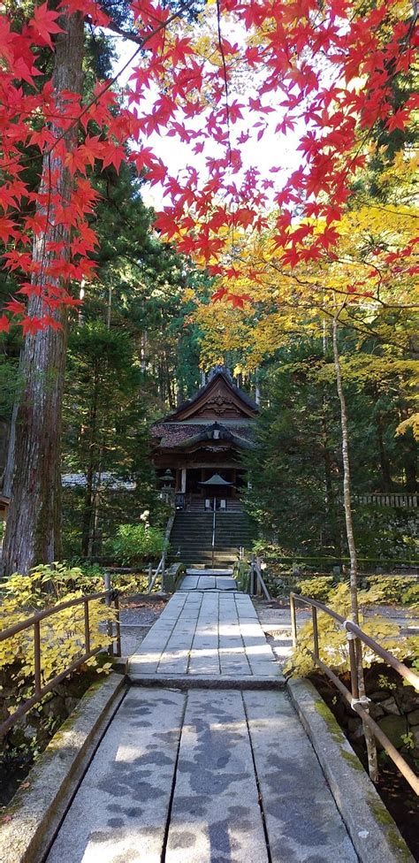 光前寺の紅葉 紅葉 自然 トリップアイデア Go Nagano 長野県公式観光サイト