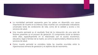 MORTALIDAD MATERNA PERINATAL Y NEONATALl Pptx Descarga Gratuita