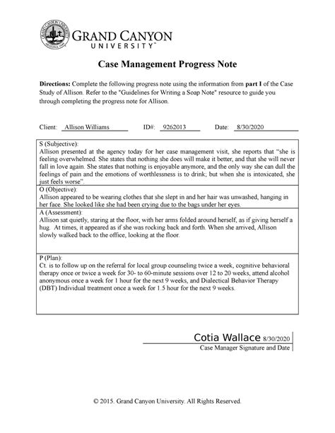 Case Management Note Template