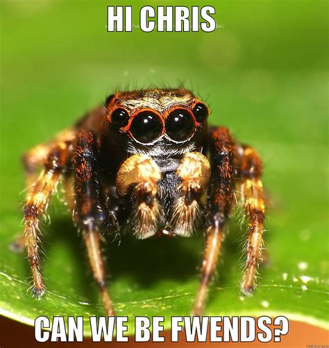 Happy Spider - quickmeme