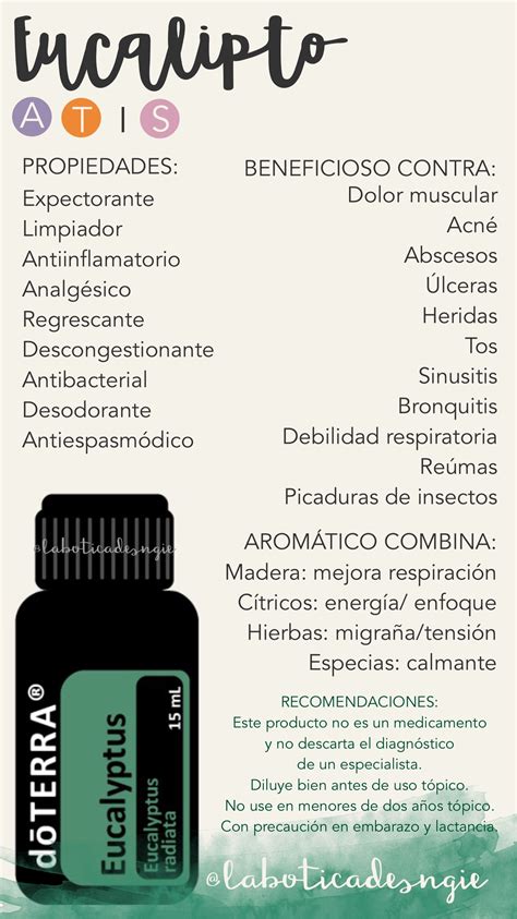 Eucalyptus Aceites Esenciales Doterra Aceite Esencial Eucalipto