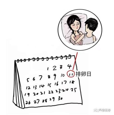 月经后第几天同房怀孕率高？备孕夫妻别错过了！ 知乎