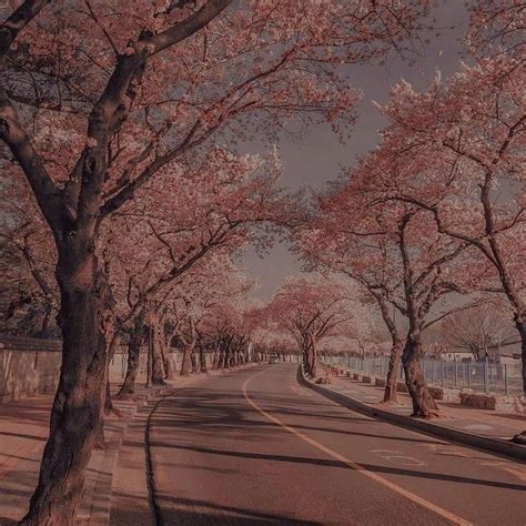 Pin de en aesthetic journal en 2024 Paisajes Arte japonés Filtros