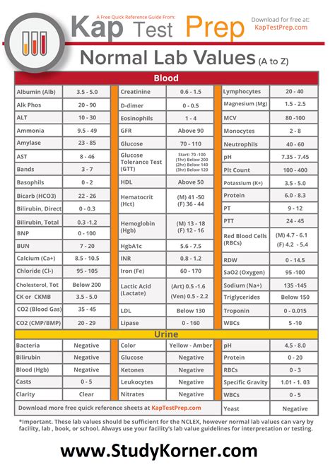 Blood Work Lab Sheet