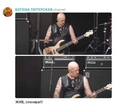 Наш слон - откуда мем наш слоняра и что он значит