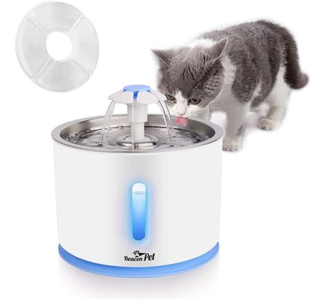 Fuente De Agua Para Gatos 2 4l Con Plato En Acero Inoxidable Cuotas