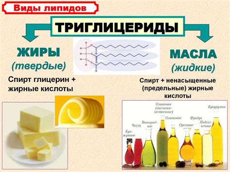Химический состав клеток - презентация онлайн