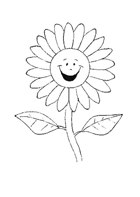 Coloriage La Fleur Marguerite Tout Sourire