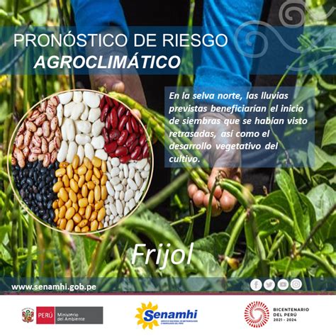 Senamhi On Twitter Riesgoagroclim Tico Frijol Sierra Norte Estima