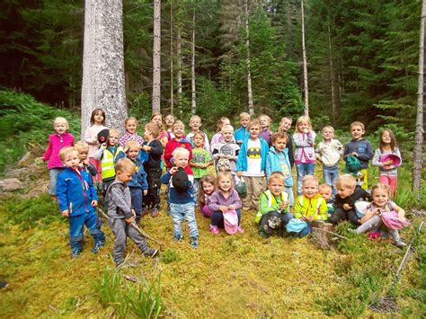 Bad Wildbad: Waldwochen im Kindergarten - Bad Wildbad & Umgebung