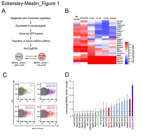 Screen For Epigenetic And Chromatin Regulators Of ZGA Identifies Dppa2