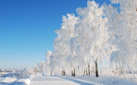 Winter Road in Latvia - Winter & Nature Background Wallpapers on ...