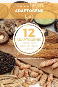 What Are Adaptogens The Ultimate Adaptogen List What Are Adaptogens