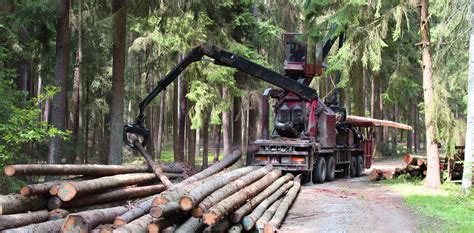 Debarking To Contain Bark Beetle Threat