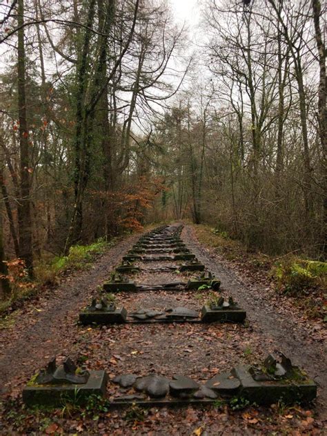 FOREST OF DEAN SCULPTURE TRAIL > SPLODZ BLOGZ