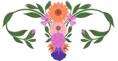 Body Confidence Starts Here Understanding The Outie Vagina