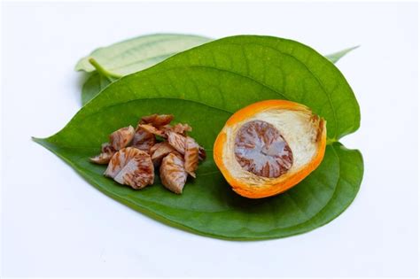 Premium Photo | Chewing betel nut, Betel nut with betel leaves