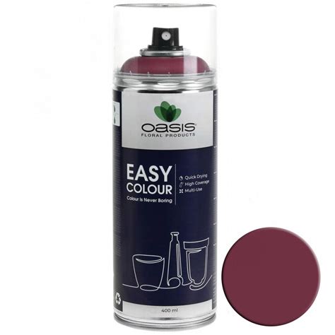 Floristik24 De OASIS Easy Colour Spray Lack Spray Erika 400ml