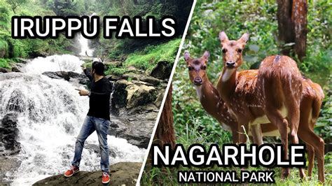 Iruppu Falls Nagarhole National Park Coorg Youtube