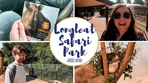 Longleat Safari Park And New Koala Creek Celebrating Our Anniversary