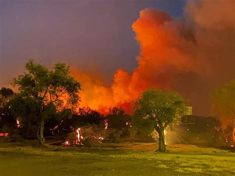 Inferno Di Fuoco Nelloristanese Distrutta Lazienda Olearia Peddio