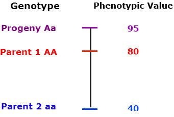 Chapter 7: Inbreeding and Heterosis – Crop Genetics