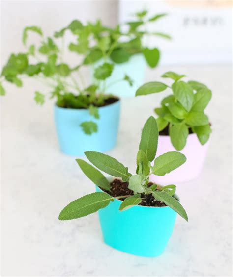 14 Brilliant DIY Indoor Herb Garden Ideas • The Garden Glove