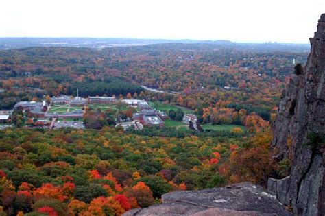 Looking At The Beautiful Quinnipiac Campus Been There And Wishful