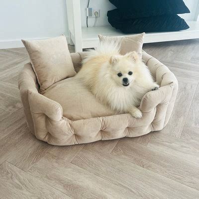 Dog Bed, Large Dog Bed, Extra Large Dog Bed, Velvet Dog Bed, Custom Dog ...