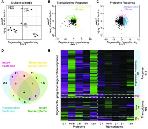 Correlation Analysis Of Proteome And Transcriptome A Multiple