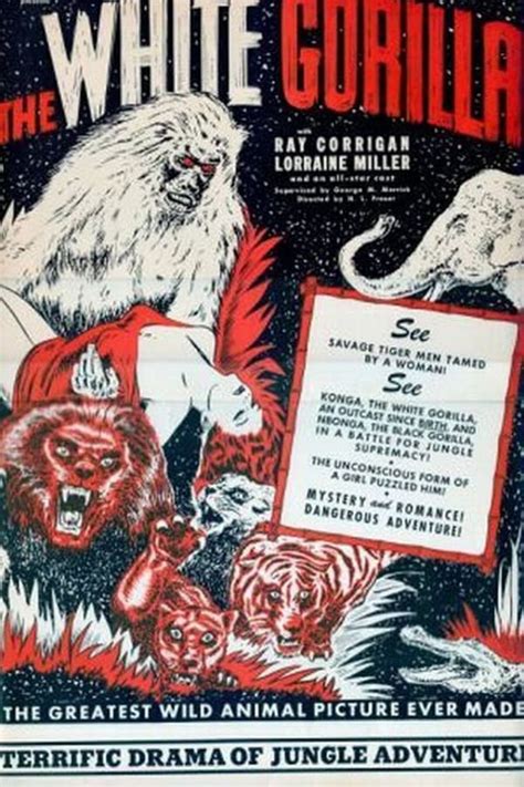 The White Gorilla (1945) — The Movie Database (TMDb)