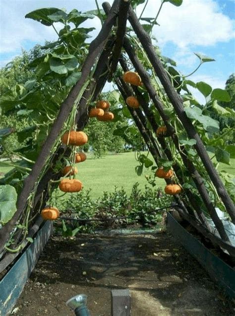 Easy Diy Gardening Ideas With Vegetables That Surprised You