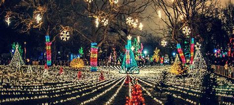 Lincoln Park Zoo ZooLights - Your Complete Guide - Your Chicago Guide