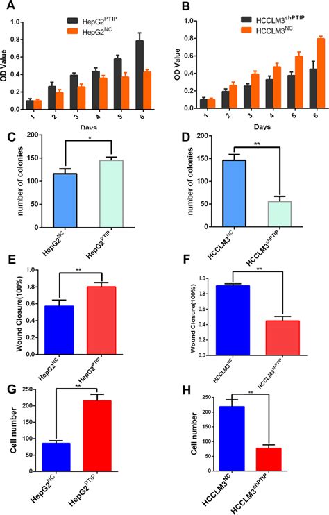 Ptip Promotes Proliferation And Invasion Of Hcc Cells In Vitro Hcc