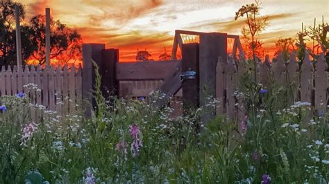 Wildflowers You Can Sow Anytime, Any Season! – Meadow Flowers Australia