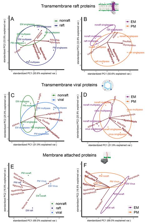 Structural Modifications Controlling Membrane Raft Partitioning And