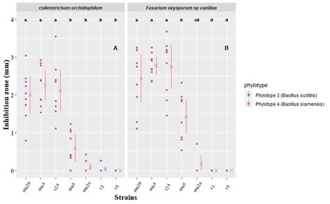 Mean inhibition zone size (mm) measured after seven days of co-cultures ... 