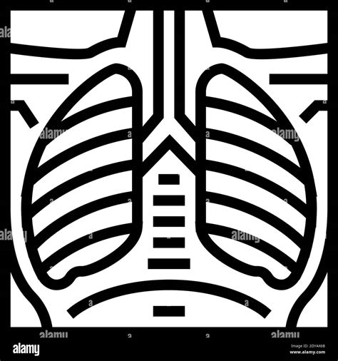 Lungs X Ray Line Icon Vector Illustration Stock Vector Image Art Alamy