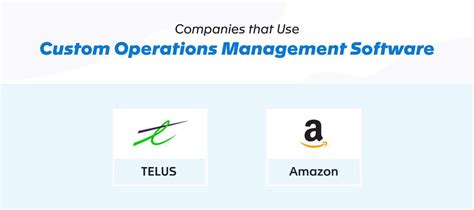 Custom Software Development Types and Examples