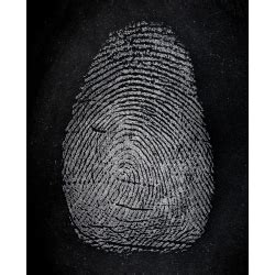 Regular Black Magnetic Fingerprint Powder By Sirchie