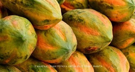 5 Manfaat Buah Pepaya Untuk Kulit Sehat Wanita