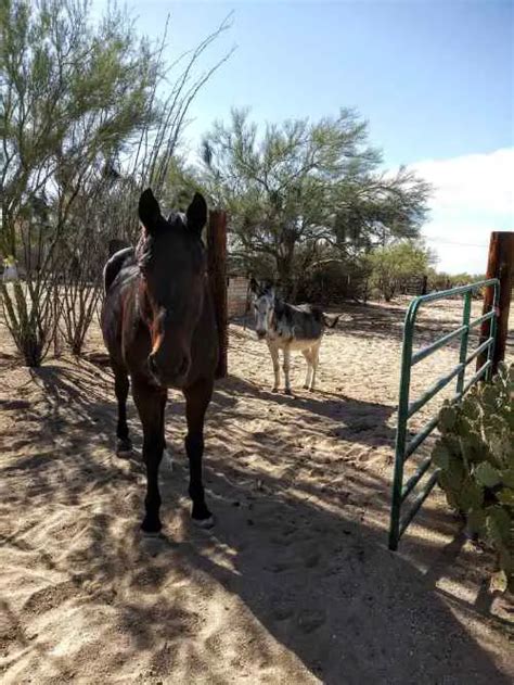 Tucson Arizona Rv Lot For Rent