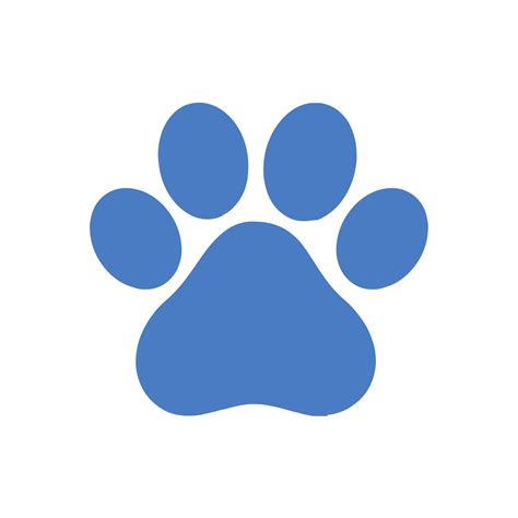 Blisso Pet - 🐾 The Joy of Cats 🐱 Cats have a special way... | Facebook