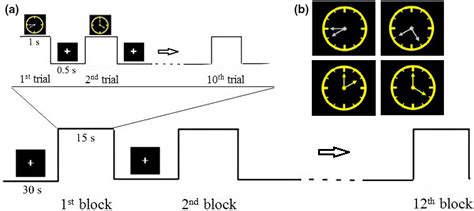 Stimuli And Experimental Procedure A Example Clocks With 30 60 90